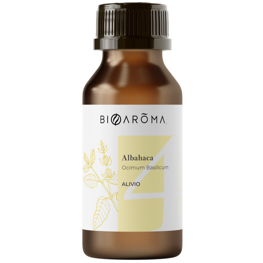 Albahaca-2